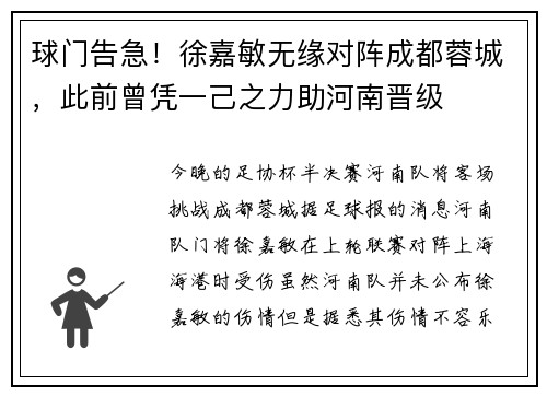 球门告急！徐嘉敏无缘对阵成都蓉城，此前曾凭一己之力助河南晋级